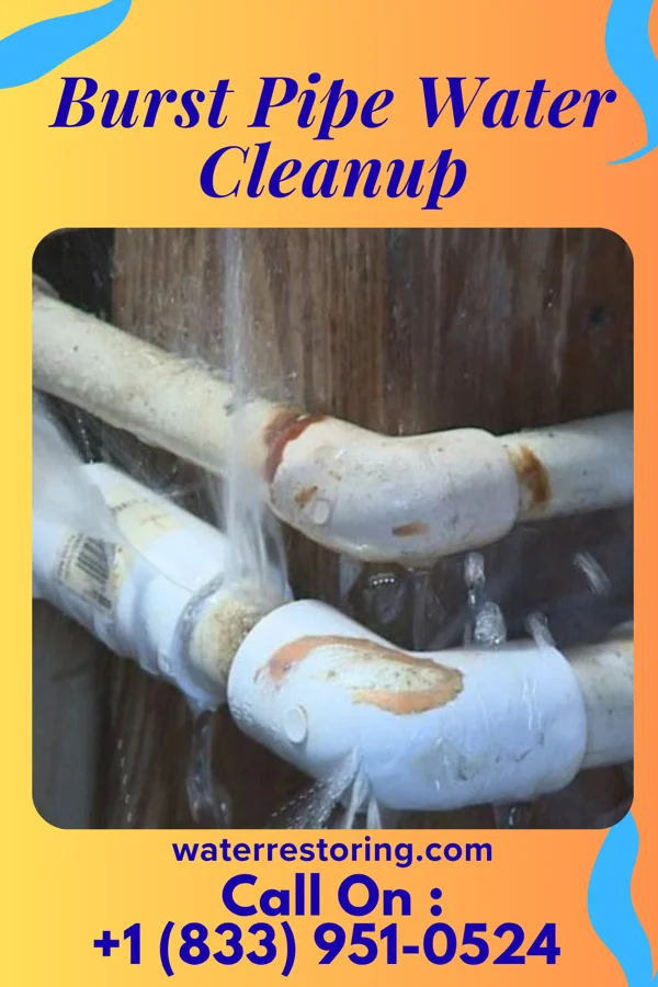 Burst Pipe Water Cleanup in Schulter, OK