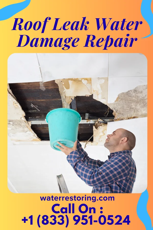 Roof Leak Water Damage Repair in Schulter, OK